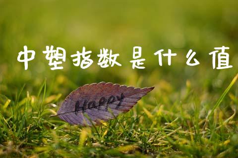中塑指数是什么值_https://wap.fcdydaikuan.com_期货品种_第1张