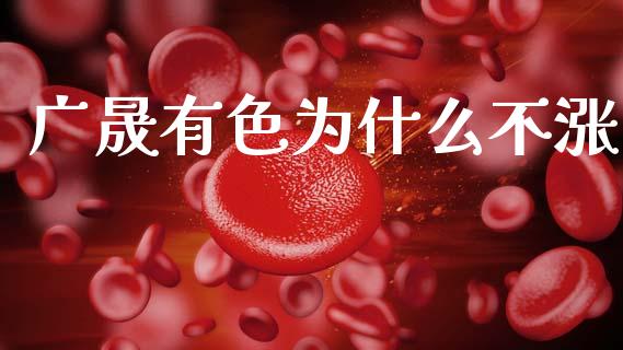 广晟有色为什么不涨_https://wap.fcdydaikuan.com_投资策略_第1张
