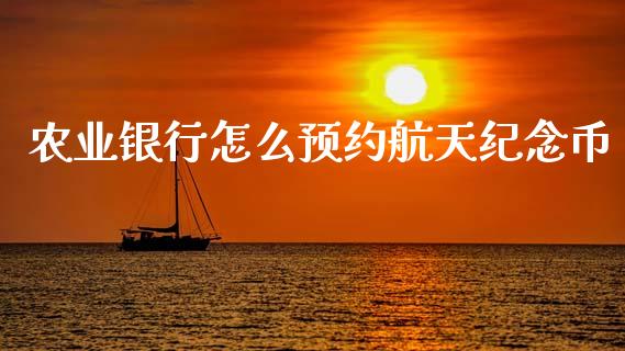 农业银行怎么预约航天纪念币_https://wap.fcdydaikuan.com_国际投资_第1张