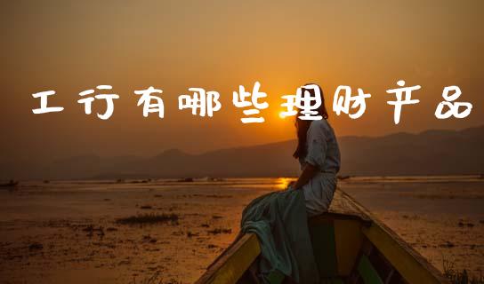 工行有哪些理财产品_https://wap.fcdydaikuan.com_国际投资_第1张