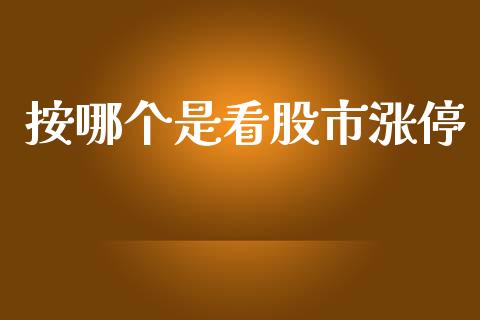 按哪个是看股市涨停_https://wap.fcdydaikuan.com_投资策略_第1张