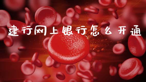 建行网上银行怎么开通_https://wap.fcdydaikuan.com_新股数据_第1张