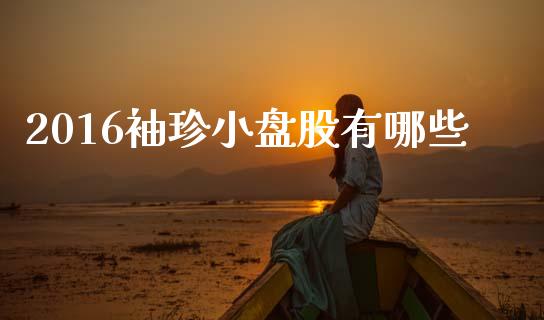 2016袖珍小盘股有哪些_https://wap.fcdydaikuan.com_期货品种_第1张