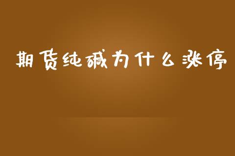 期货纯碱为什么涨停_https://wap.fcdydaikuan.com_新股数据_第1张