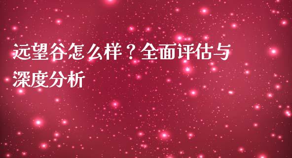 远望谷怎么样？全面评估与深度分析_https://wap.fcdydaikuan.com_金融机构_第1张