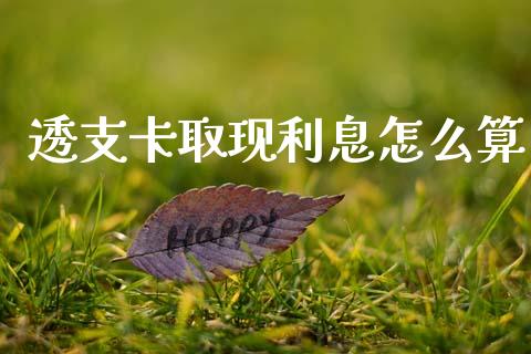 透支卡取现利息怎么算_https://wap.fcdydaikuan.com_金融机构_第1张