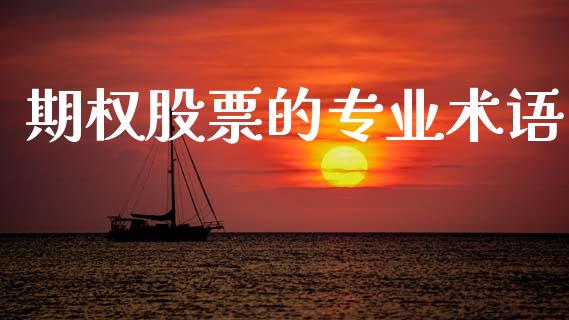 期权股票的专业术语_https://wap.fcdydaikuan.com_理财顾问_第1张