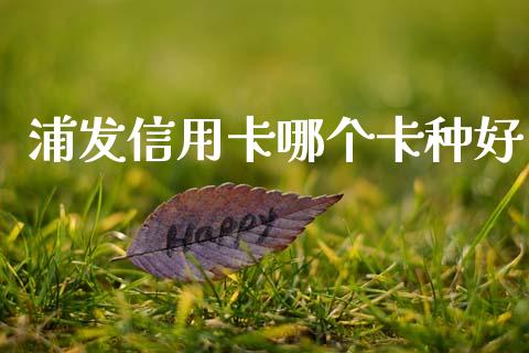 浦发信用卡哪个卡种好_https://wap.fcdydaikuan.com_期货品种_第1张