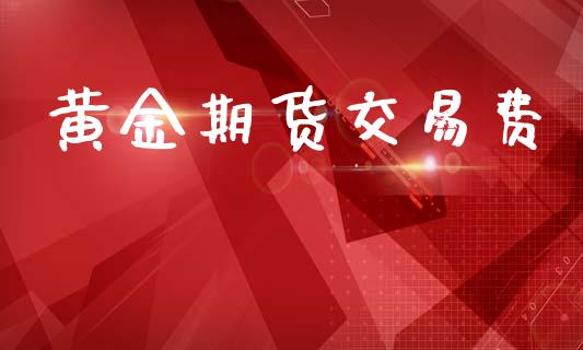 黄金期货交易费_https://wap.fcdydaikuan.com_投资策略_第1张