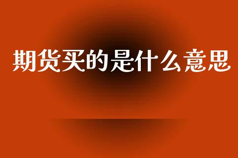 期货买的是什么意思_https://wap.fcdydaikuan.com_理财顾问_第1张