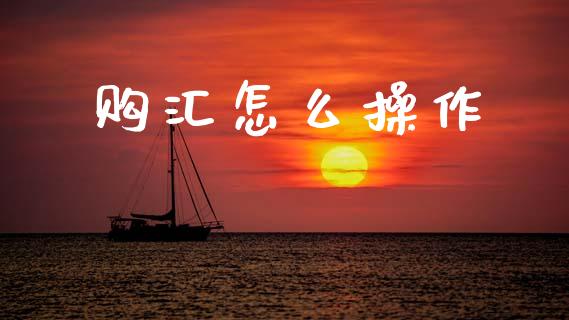 购汇怎么操作_https://wap.fcdydaikuan.com_投资策略_第1张