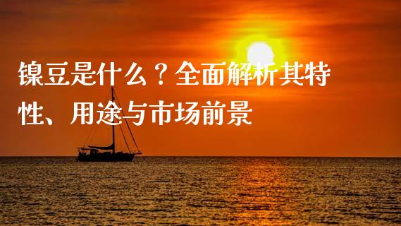 镍豆是什么？全面解析其特性、用途与市场前景_https://wap.fcdydaikuan.com_金融机构_第1张