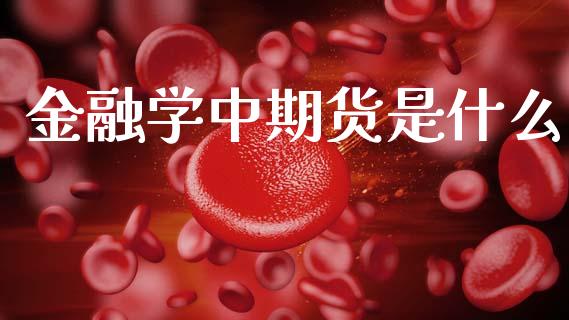 金融学中期货是什么_https://wap.fcdydaikuan.com_投资策略_第1张