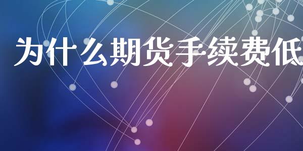 为什么期货手续费低_https://wap.fcdydaikuan.com_投资策略_第1张