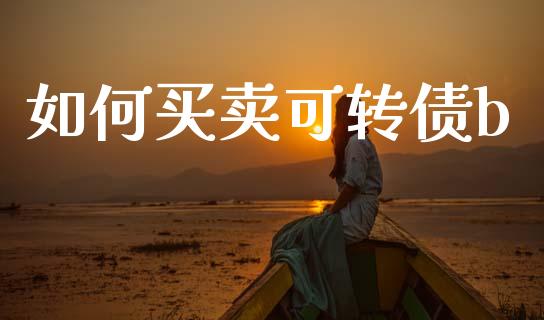 如何买卖可转债b_https://wap.fcdydaikuan.com_国际投资_第1张