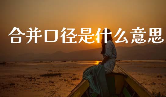 合并口径是什么意思_https://wap.fcdydaikuan.com_金融机构_第1张