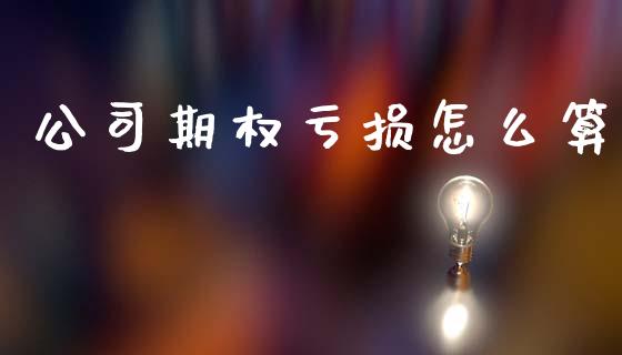 公司期权亏损怎么算_https://wap.fcdydaikuan.com_国际投资_第1张