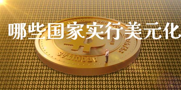 哪些国家实行美元化_https://wap.fcdydaikuan.com_金融机构_第1张