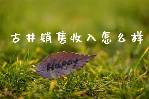 古井销售收入怎么样_https://wap.fcdydaikuan.com_金融机构_第1张