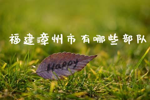 福建漳州市有哪些部队_https://wap.fcdydaikuan.com_理财顾问_第1张
