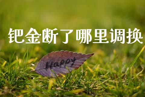 钯金断了哪里调换_https://wap.fcdydaikuan.com_期货品种_第1张