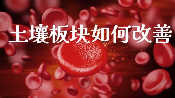 土壤板块如何改善_https://wap.fcdydaikuan.com_国际投资_第1张