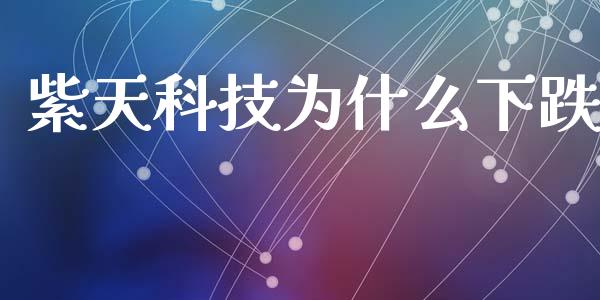 紫天科技为什么下跌_https://wap.fcdydaikuan.com_理财顾问_第1张