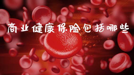 商业健康保险包括哪些_https://wap.fcdydaikuan.com_理财顾问_第1张