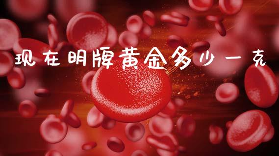 现在明牌黄金多少一克_https://wap.fcdydaikuan.com_国际投资_第1张