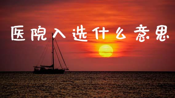 医院入选什么意思_https://wap.fcdydaikuan.com_国际投资_第1张