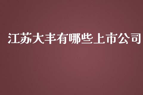 江苏大丰有哪些上市公司_https://wap.fcdydaikuan.com_国际投资_第1张