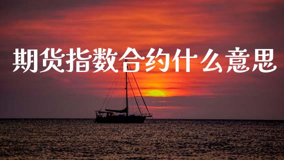 期货指数合约什么意思_https://wap.fcdydaikuan.com_金融机构_第1张