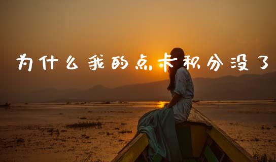 为什么我的点卡积分没了_https://wap.fcdydaikuan.com_投资策略_第1张