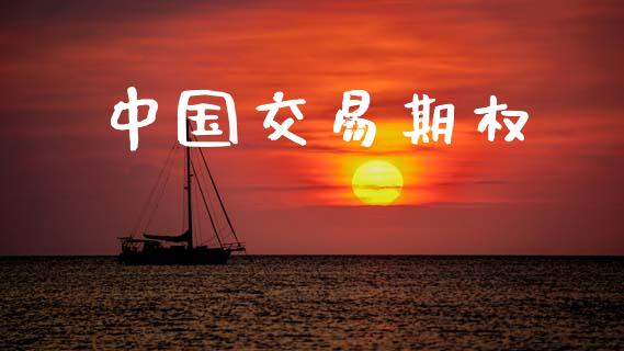 中国交易期权_https://wap.fcdydaikuan.com_投资策略_第1张