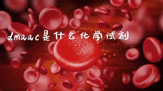 dmaac是什么化学试剂_https://wap.fcdydaikuan.com_理财顾问_第1张