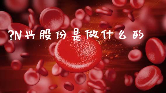 ?N兴股份是做什么的_https://wap.fcdydaikuan.com_金融机构_第1张