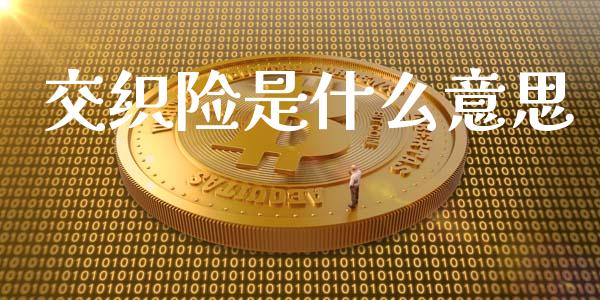 交织险是什么意思_https://wap.fcdydaikuan.com_国际投资_第1张