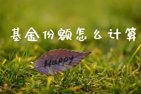 基金份额怎么计算_https://wap.fcdydaikuan.com_新股数据_第1张
