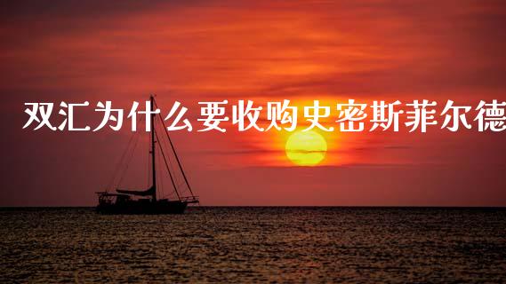 双汇为什么要收购史密斯菲尔德_https://wap.fcdydaikuan.com_理财顾问_第1张