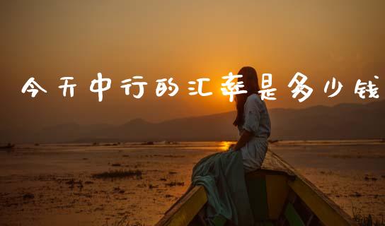 今天中行的汇率是多少钱_https://wap.fcdydaikuan.com_新股数据_第1张