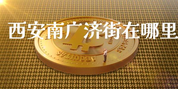西安南广济街在哪里_https://wap.fcdydaikuan.com_理财顾问_第1张