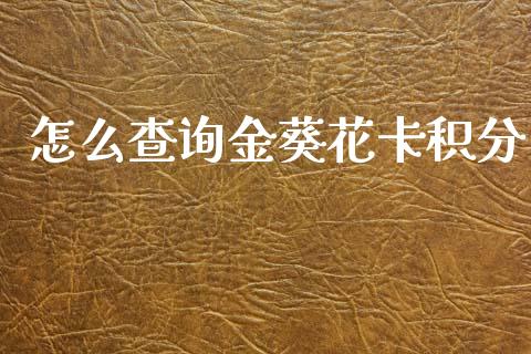 怎么查询金葵花卡积分_https://wap.fcdydaikuan.com_期货品种_第1张