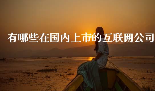 有哪些在国内上市的互联网公司_https://wap.fcdydaikuan.com_理财顾问_第1张