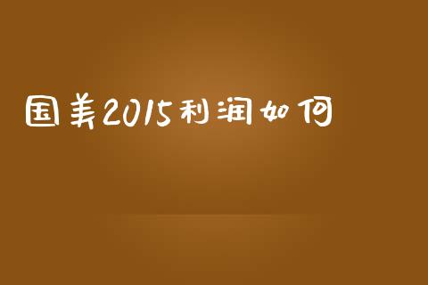 国美2015利润如何_https://wap.fcdydaikuan.com_国际投资_第1张