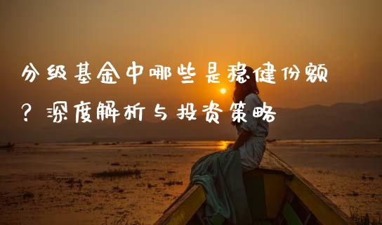 分级基金中哪些是稳健份额？深度解析与投资策略_https://wap.fcdydaikuan.com_期货品种_第1张