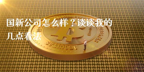 国新公司怎么样？谈谈我的几点看法_https://wap.fcdydaikuan.com_投资策略_第1张