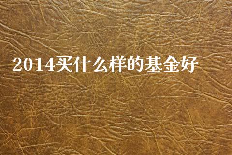2014买什么样的基金好_https://wap.fcdydaikuan.com_金融机构_第1张