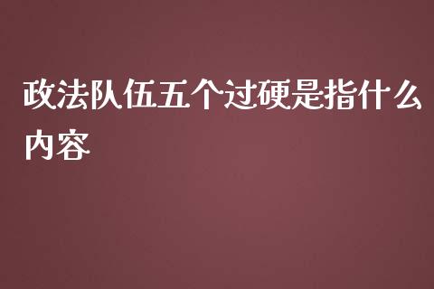 政法队伍五个过硬是指什么内容_https://wap.fcdydaikuan.com_国际投资_第1张