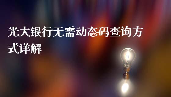 光大银行无需动态码查询方式详解_https://wap.fcdydaikuan.com_期货品种_第1张