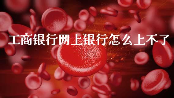 工商银行网上银行怎么上不了_https://wap.fcdydaikuan.com_期货品种_第1张